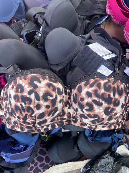 Womens Bra