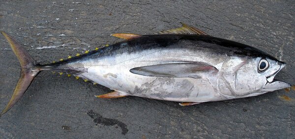 Plat d atieke au poisson thon