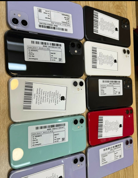 iPhone 11 Variantes Colorées