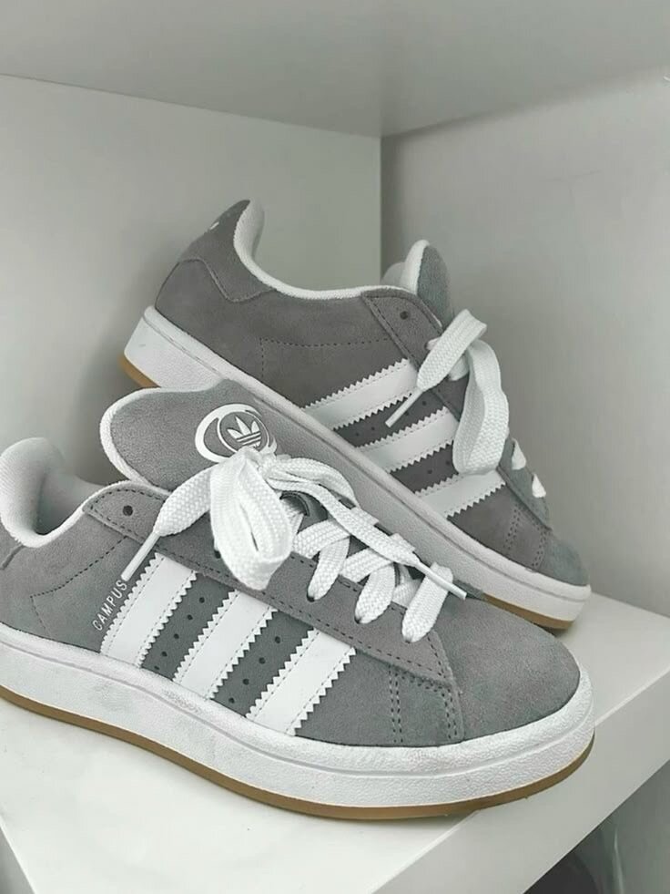 adidas campus authentique