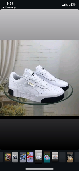 Puma