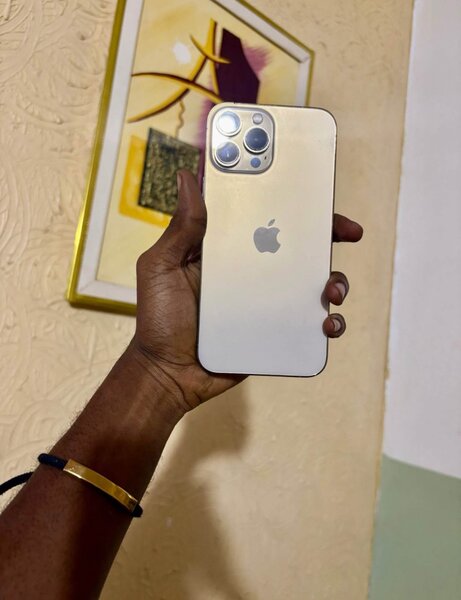 iPhone 13 Pro Max 512GB Comme Neuf