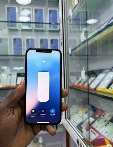 iPhone 12 Pro Max 128GB Bleu