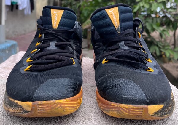 Nike hyper dunk low 2016