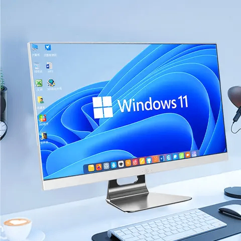 Windows 10/11 pro