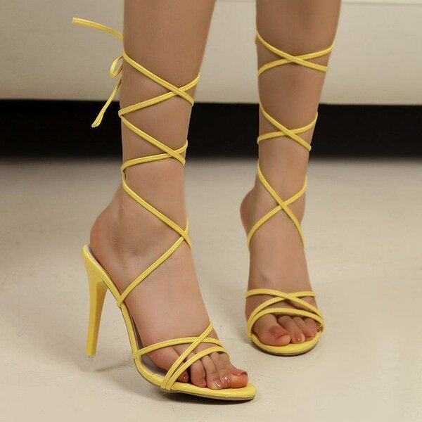 Talons de tre belle couleur