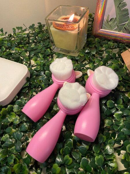 Brosse du visage