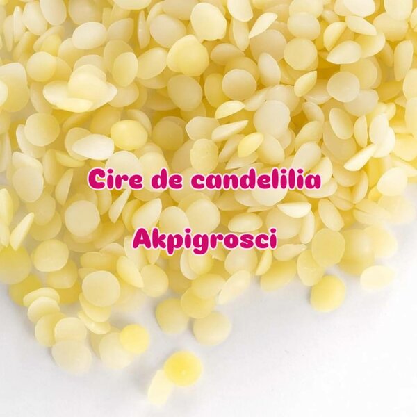 Cire de candelilla naturelle