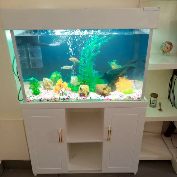 Grand aquarium décoratif moderne