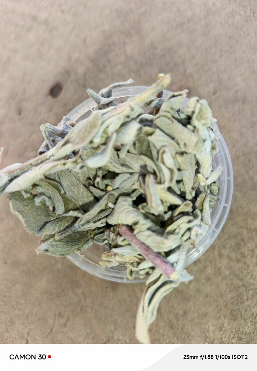 Feuille de sauge