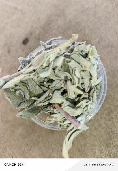 Feuille de sauge