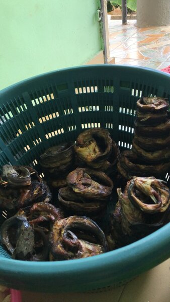 Oven Dried Catfish
