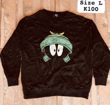 sweatshirt