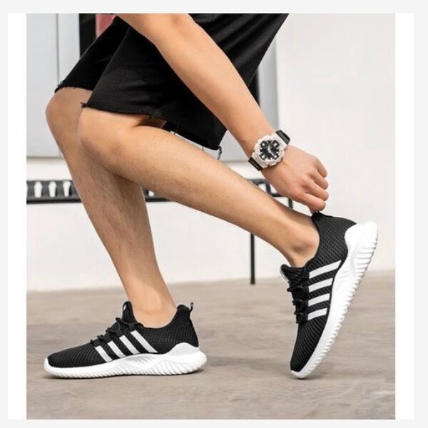Basket Sport Homme