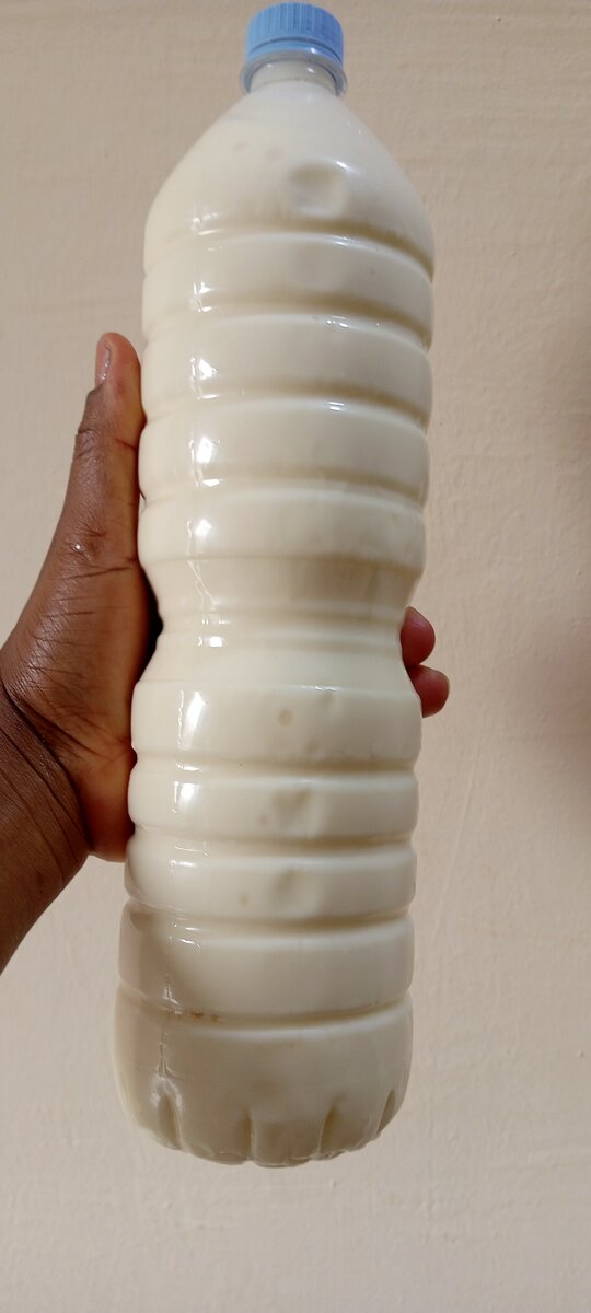 Yaourt nature sucrée