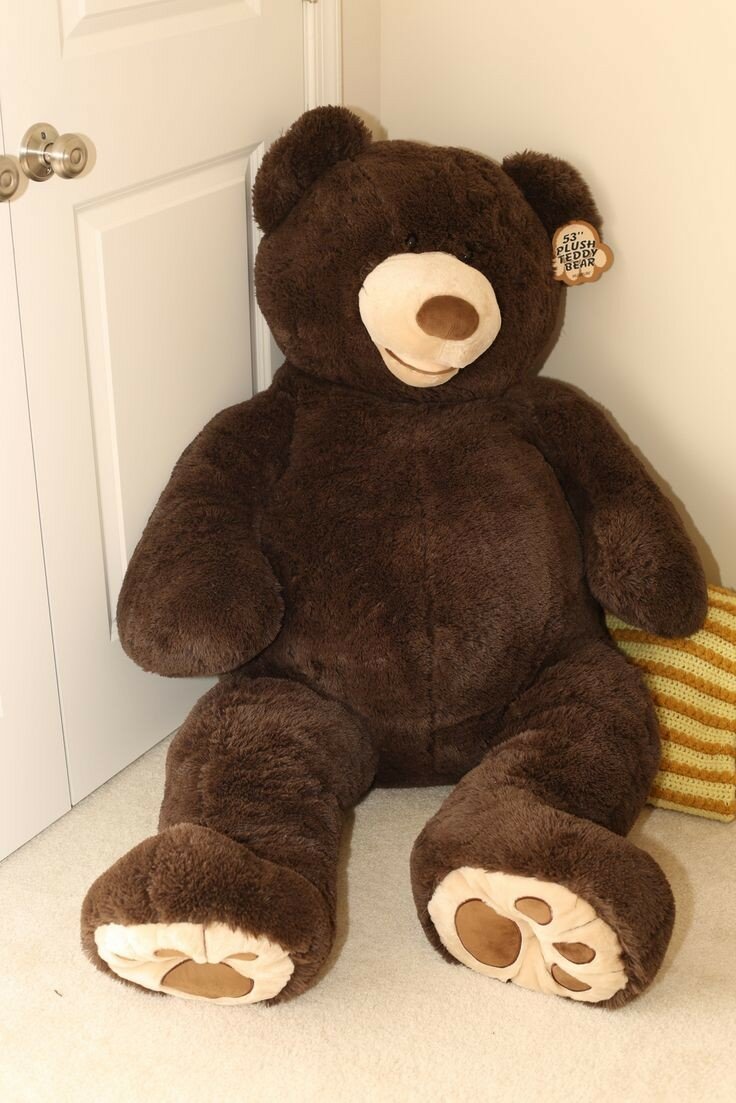 Teddy bear