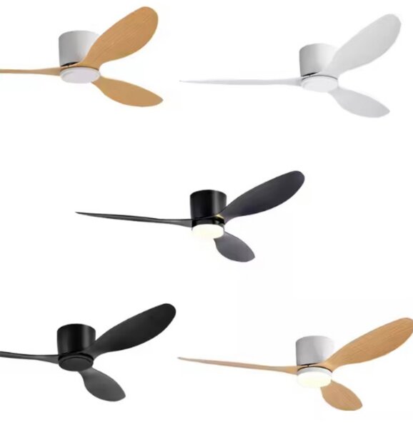 Rechargeable fans