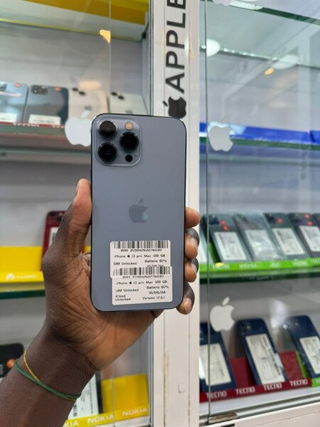 iPhone 13 Pro Max
