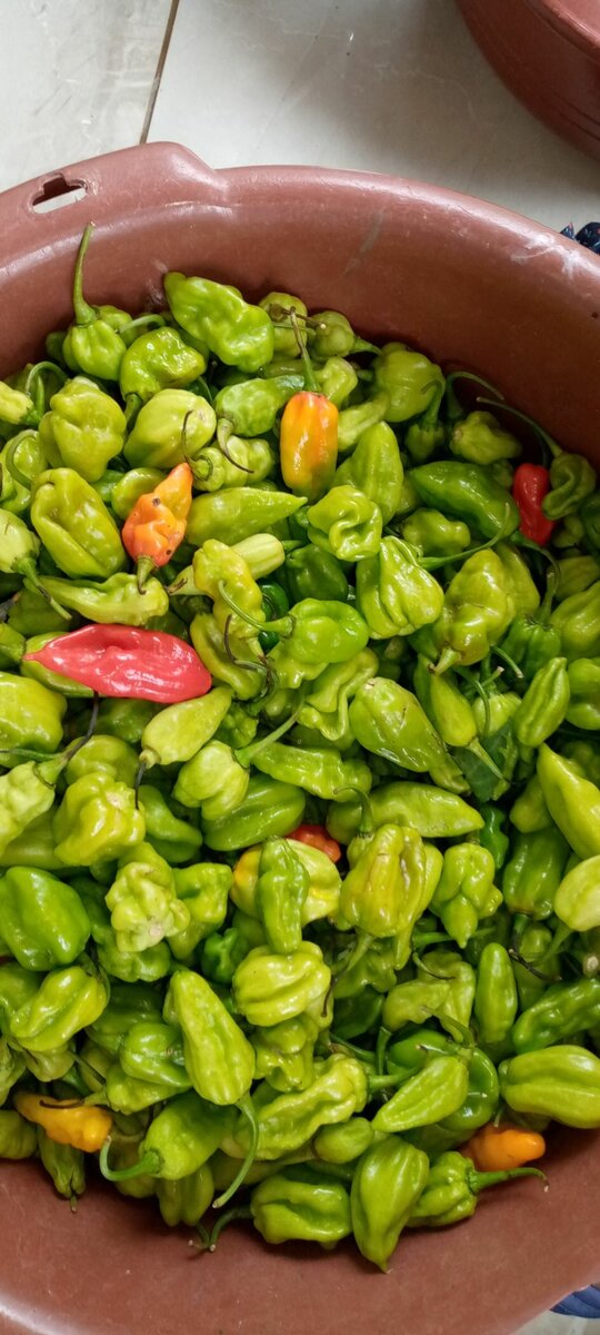 Nama market
