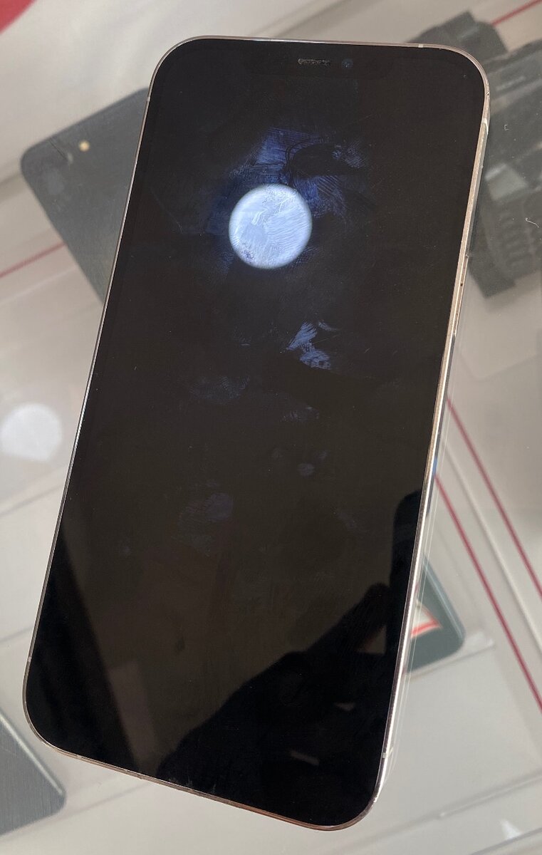 iPhone 12pro max