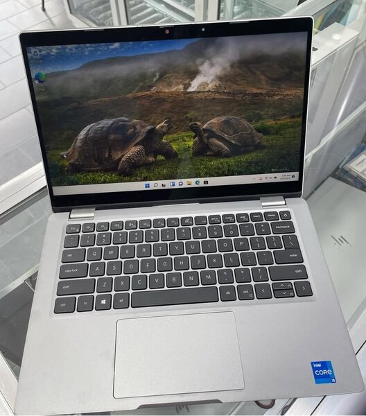Dell latitude