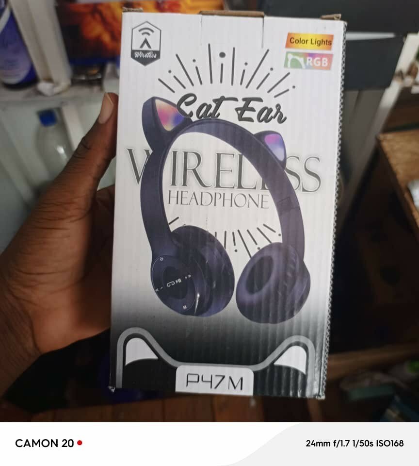 Casque p47 chat