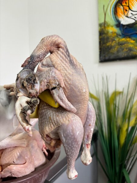 Pintade fraîche