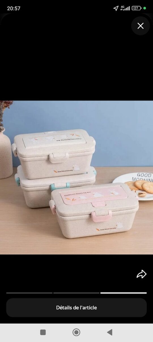 Boîte à lunch étanche avec support