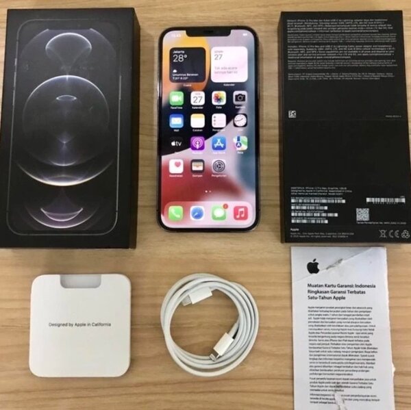 iPhone 12 Pro Max