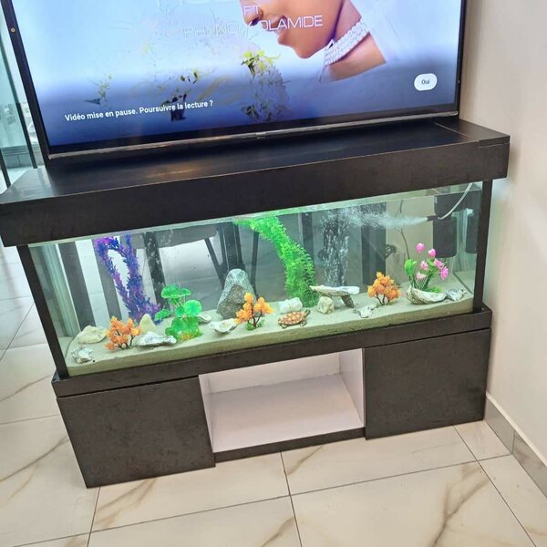 Meuble Aquarium Moderne Noir