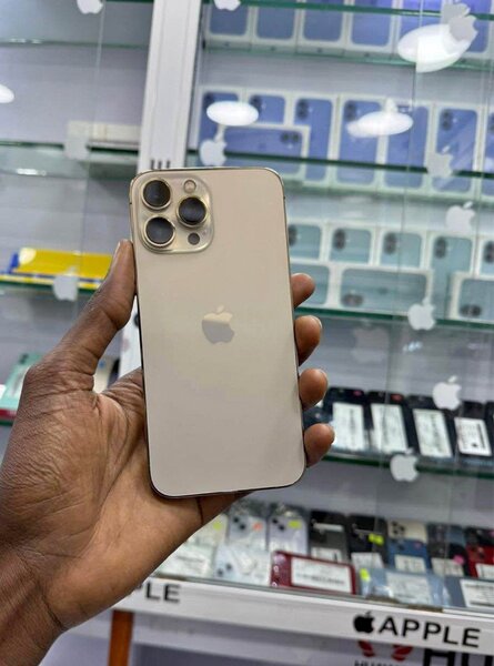 iPhone 13 Pro Max Or 128Go