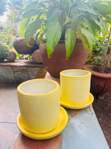 Pots and Plants