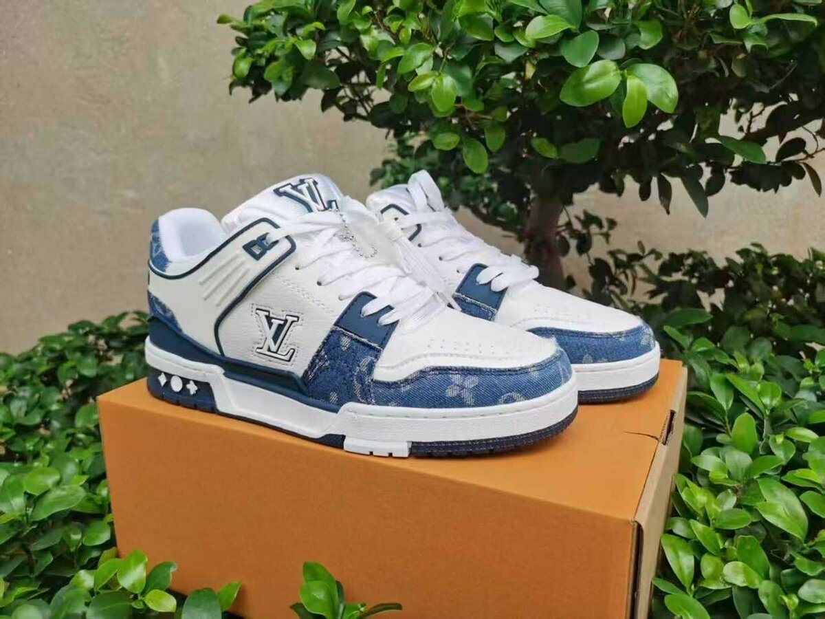 Chaussure LV