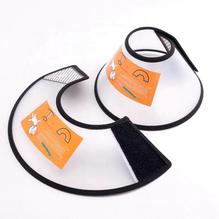 Collier de récupération pour animaux