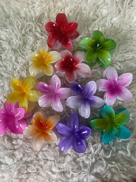 Barrette fleurs