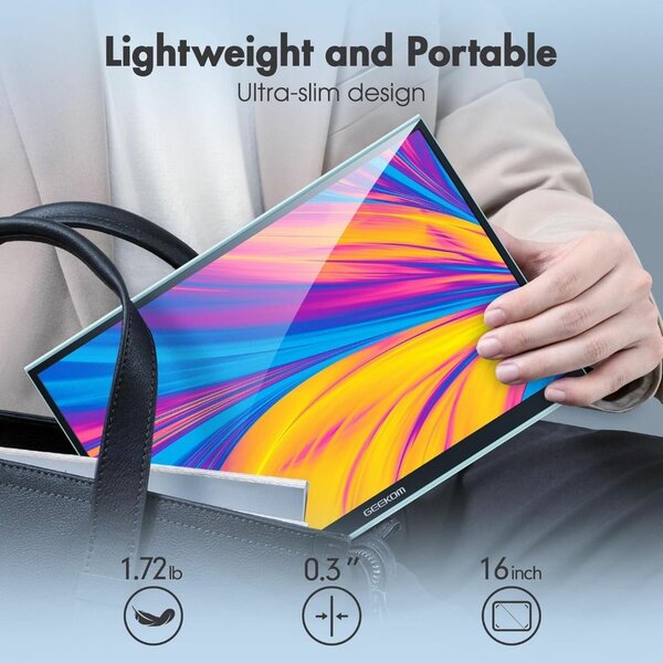 Moniteur portable