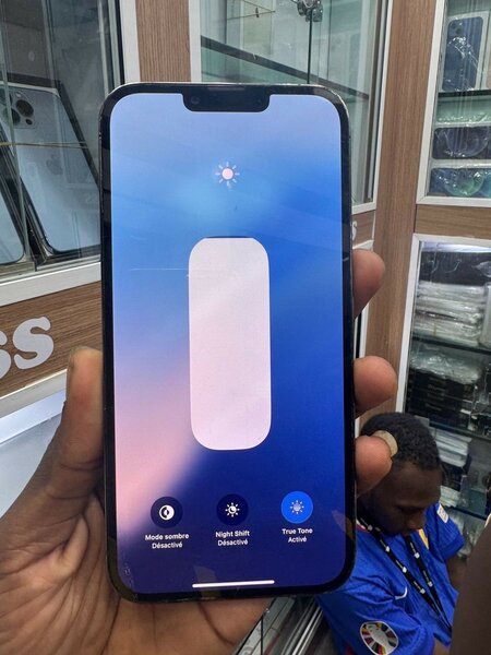iPhone 13 Pro Max
