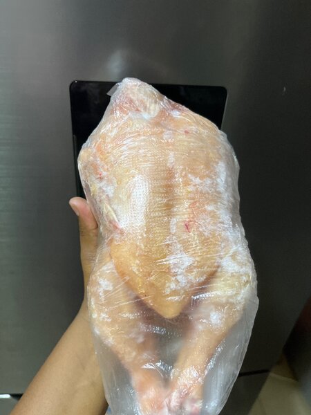 Poulet de chair
