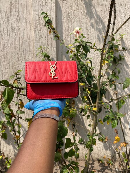 Small YSL bag
