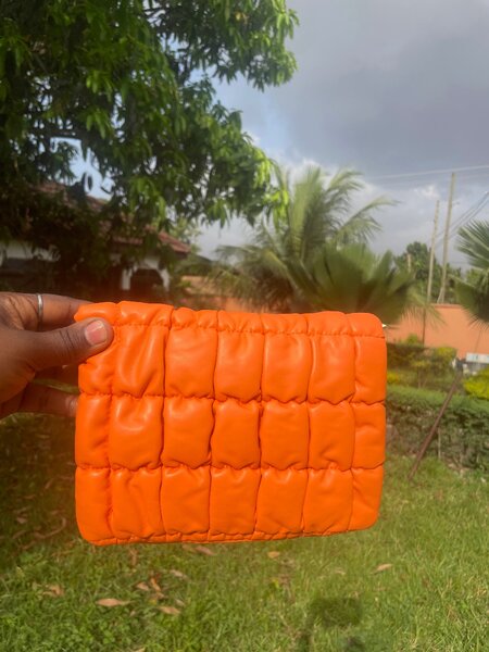 Ladies purse