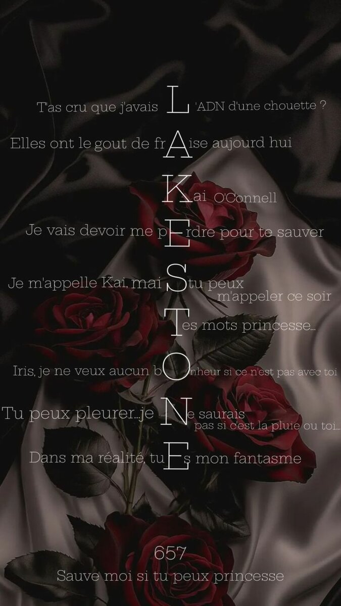 "Lakestone"T.1