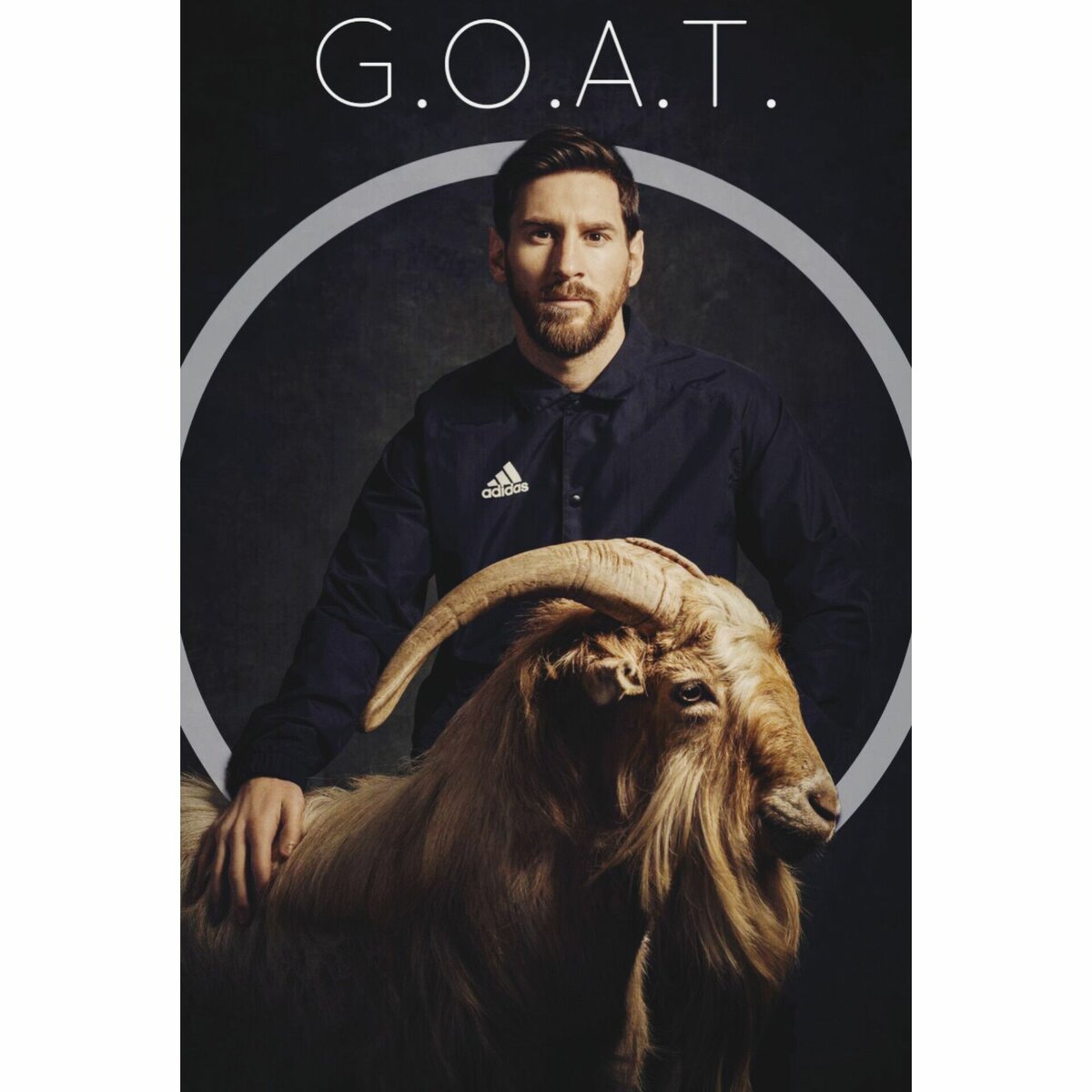 GOAT Frame