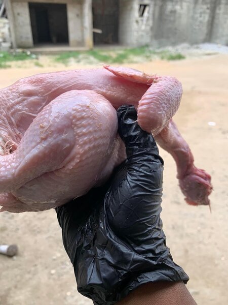 Poulet de chair locale