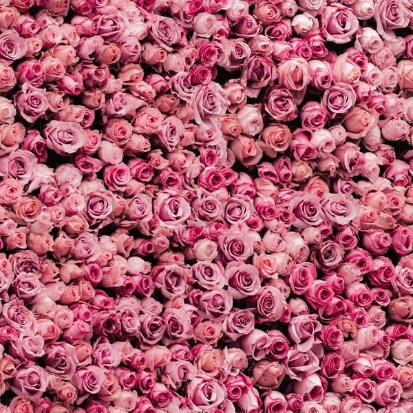 Papier peint floral roses