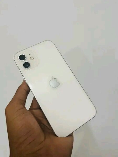 iPhone blanc haut de gamme