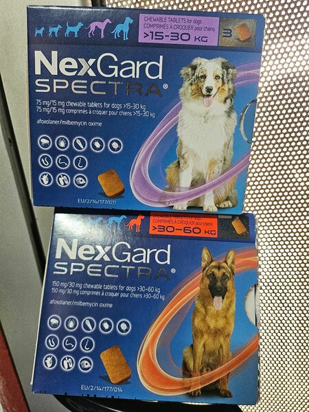 Nexgard spectra