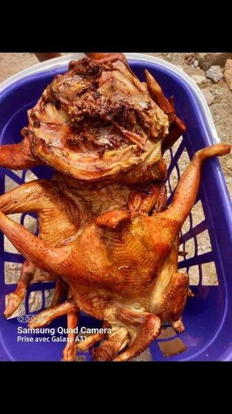 Poulet Fumé pondeuse