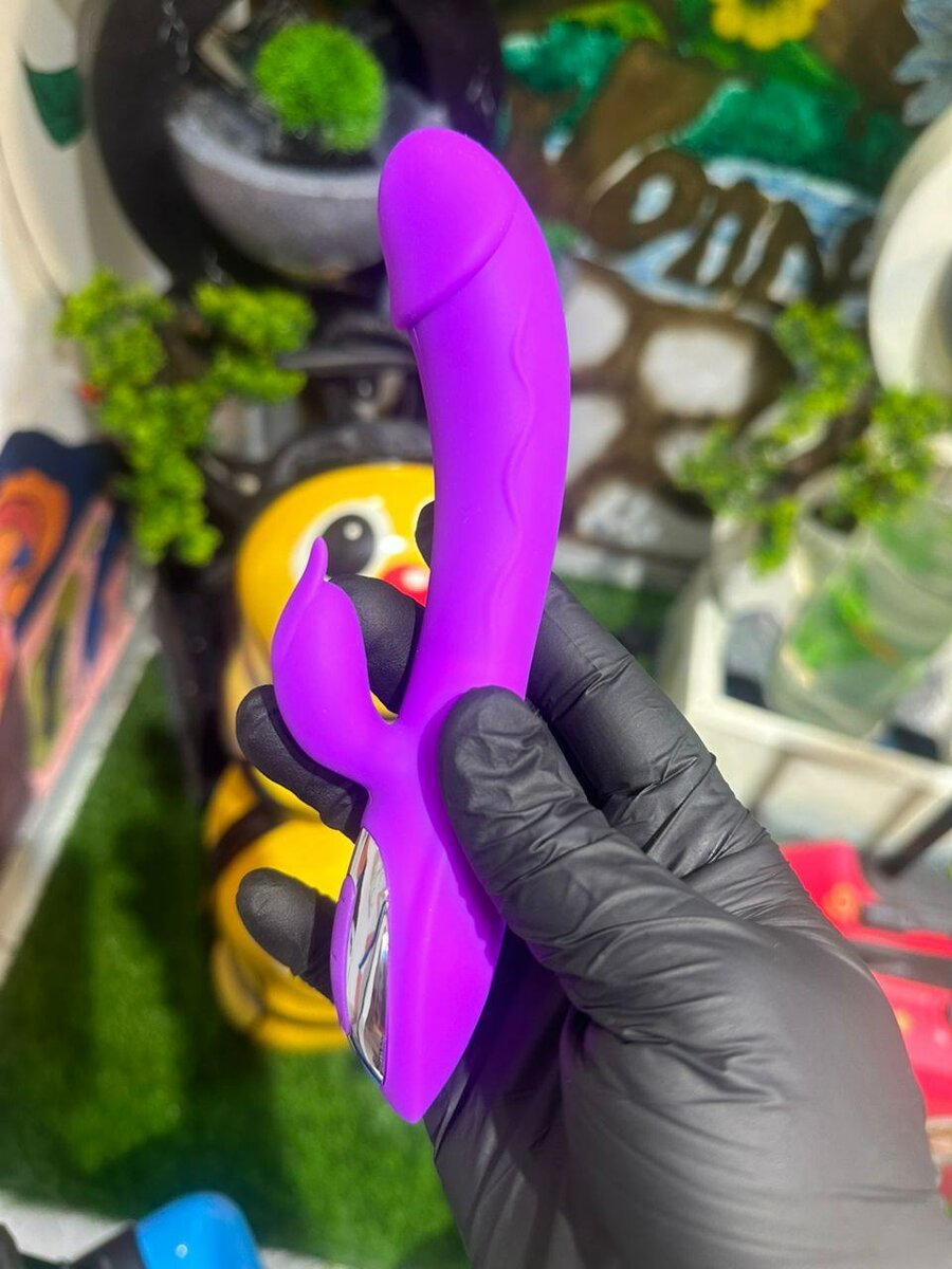 Rabbit