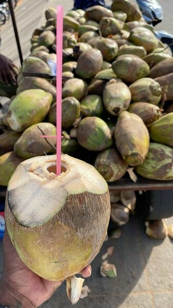Noix de coco fraîche