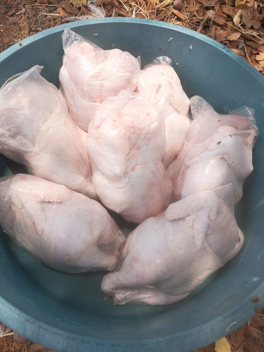 Dressed chickens
